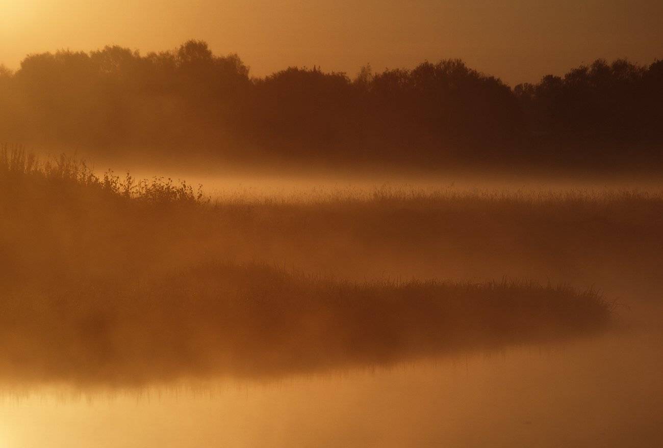 , Владимир Перепечаев