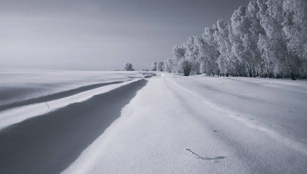 , Николай Морский