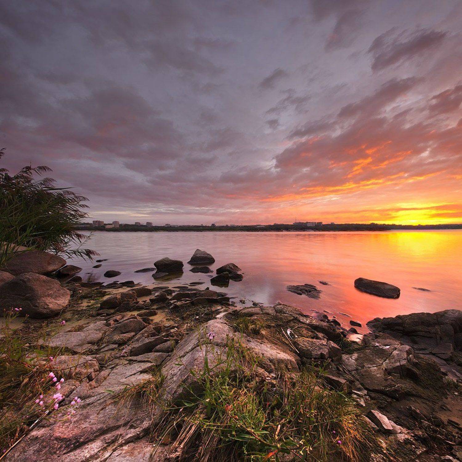 , Величко Владимир