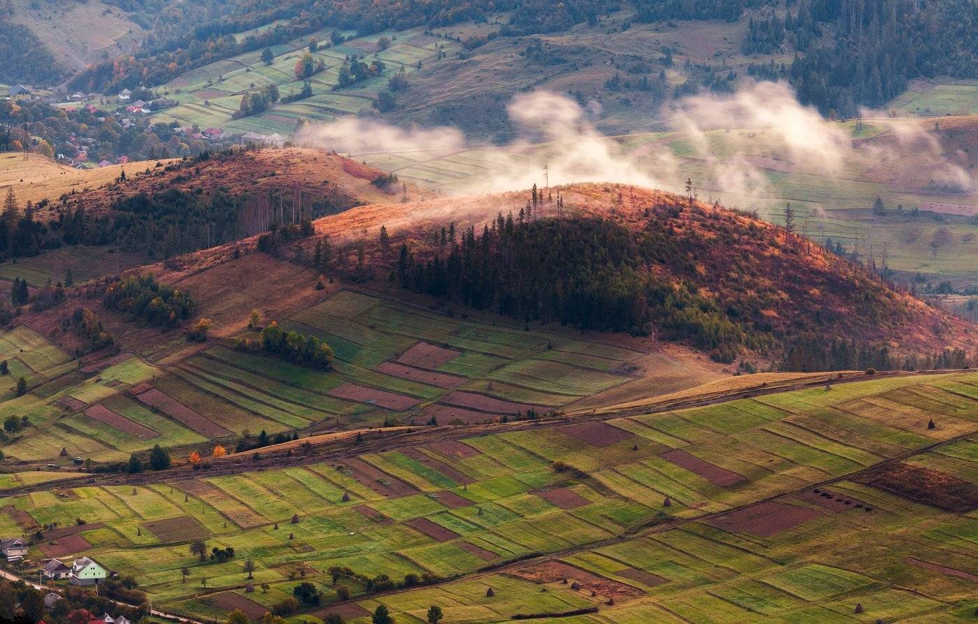 , Андрій Плясун