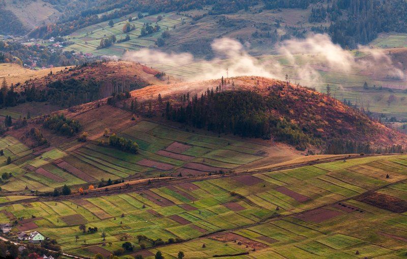 Духи холмов фото превью