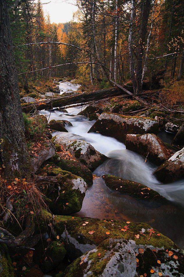 горная шория, кузнецкий алатау, ортон, междуреченск, майзас, тайга, лес, природа, пейзаж, сибирь, осень, Сергей Белявцев