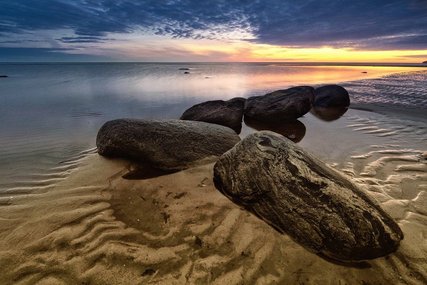 , Максим Евдокимов