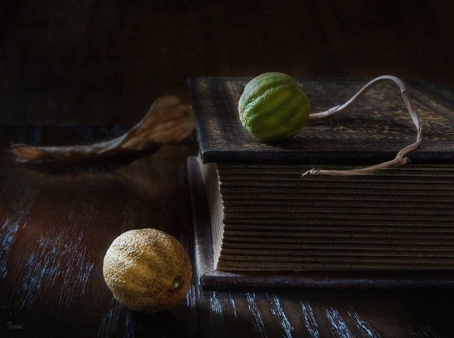 кни, Юрий Юшваев