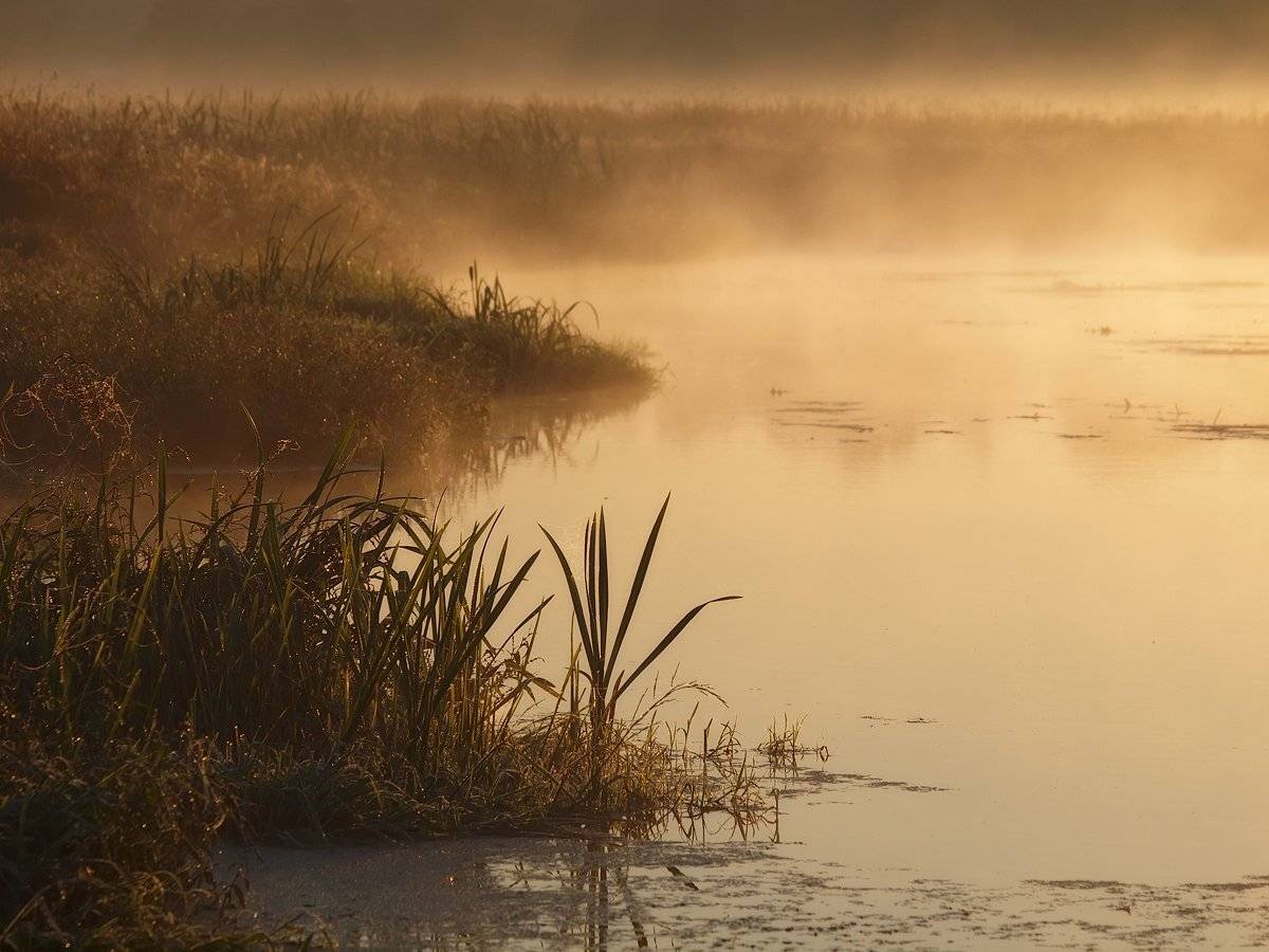 , Владимир Перепечаев