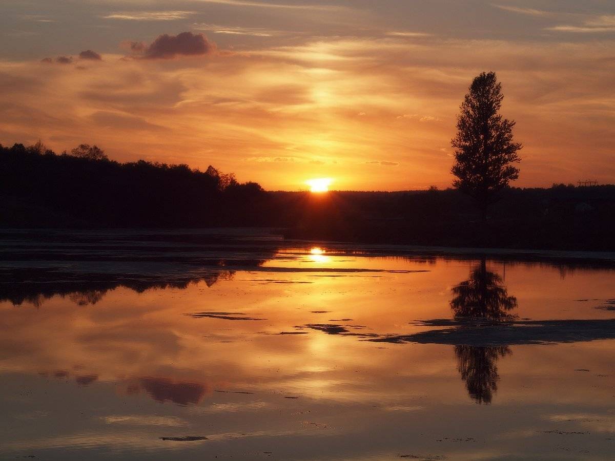 , Владимир Перепечаев