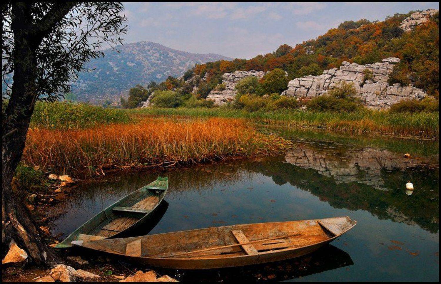 , Инга Кондрашова