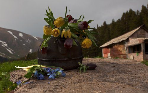 Утро на приюте