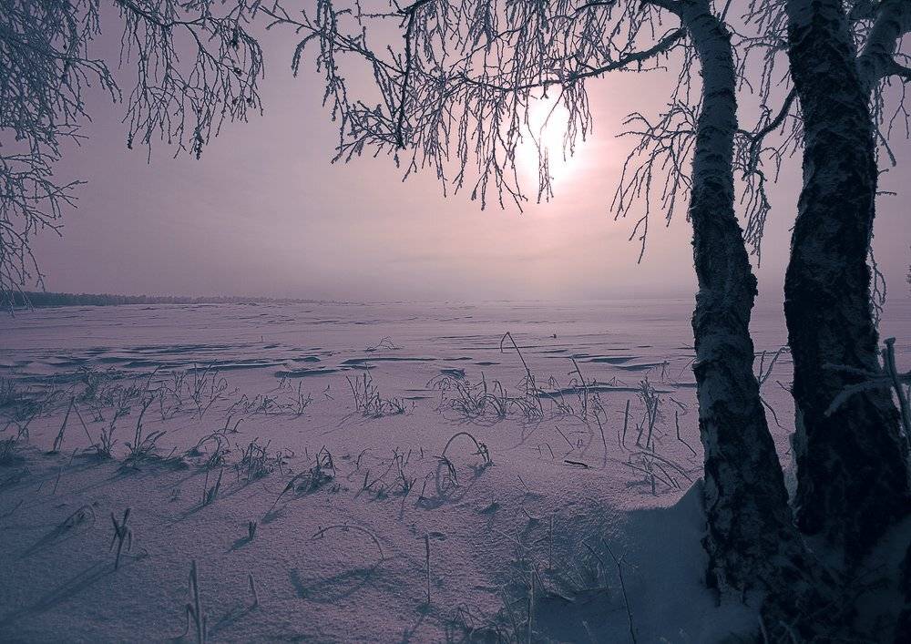 , Николай Морский