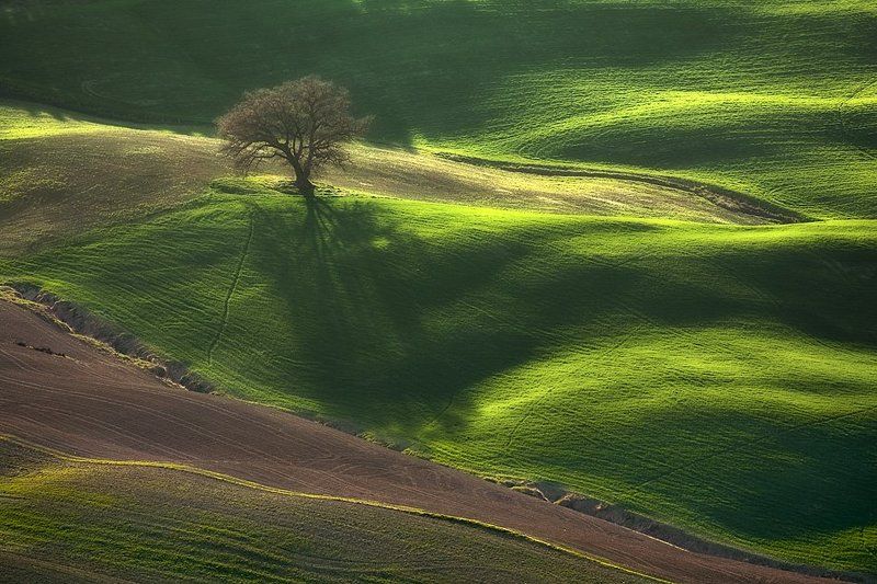 Tuscany ... фото превью