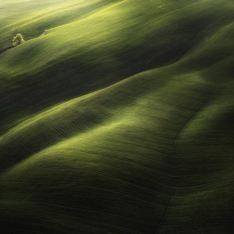Green meadows I фото превью