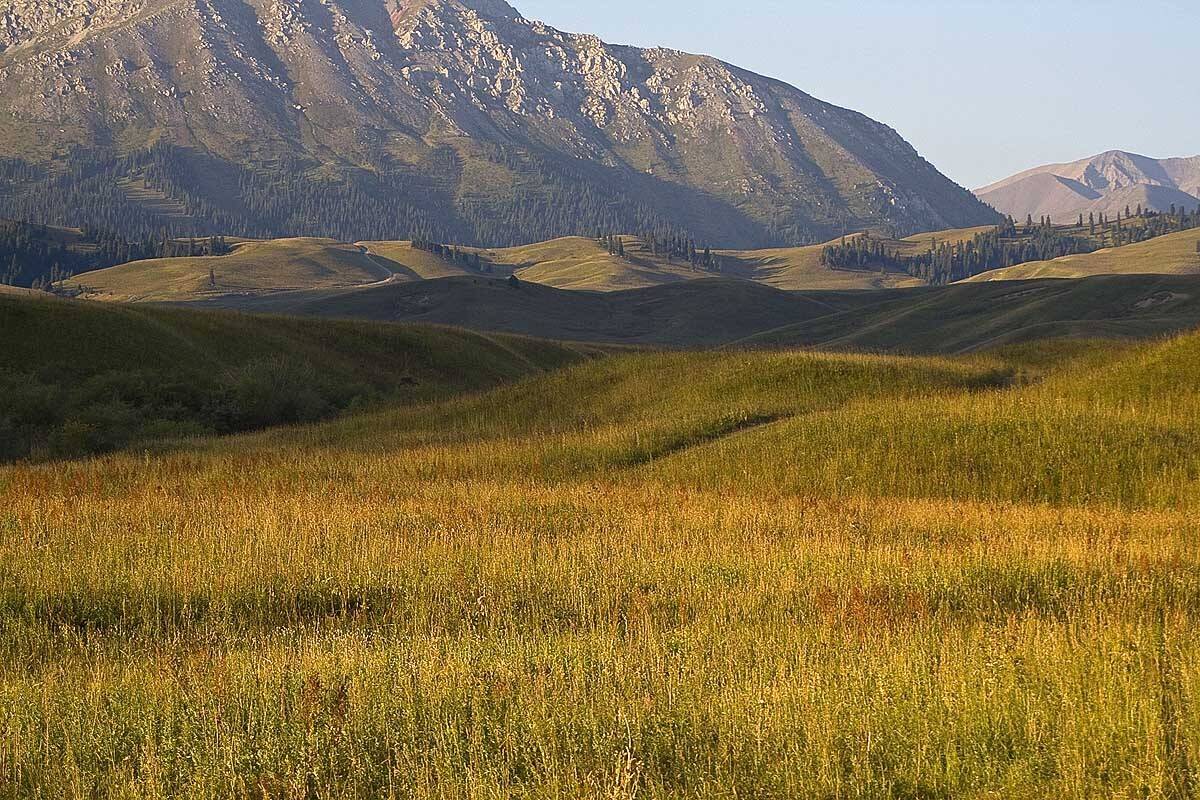 , Борис Резванцев