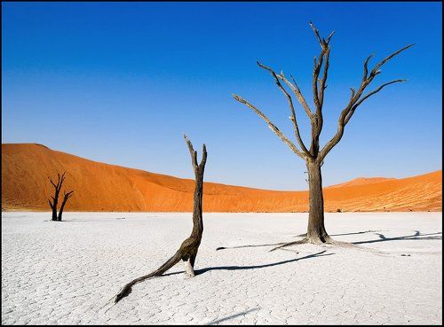Deadvlei, Намибия