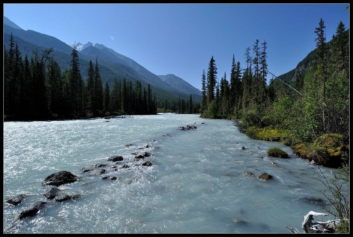алтай, р.кучерла, АНАТОЛИЙ ДОВЫДЕНКО