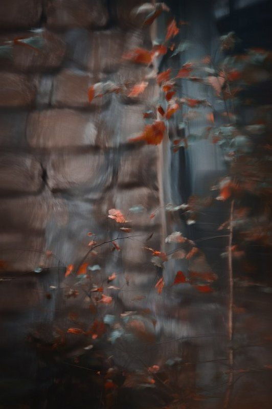 осень..... фото превью