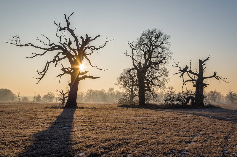 Shadow theater фото превью