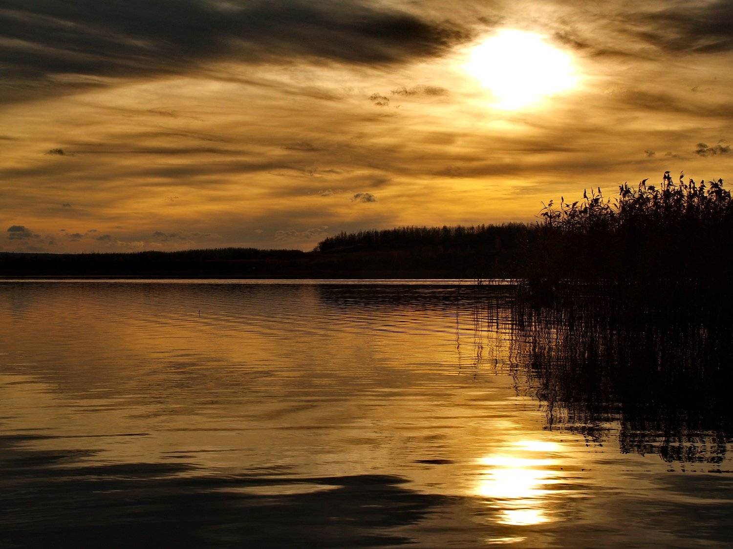 , Ярослав Єнкало