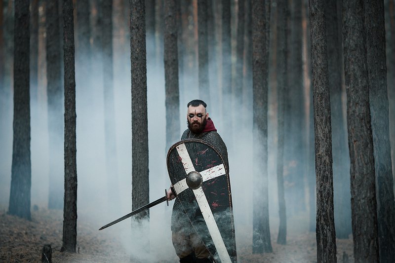 Викинг фото превью