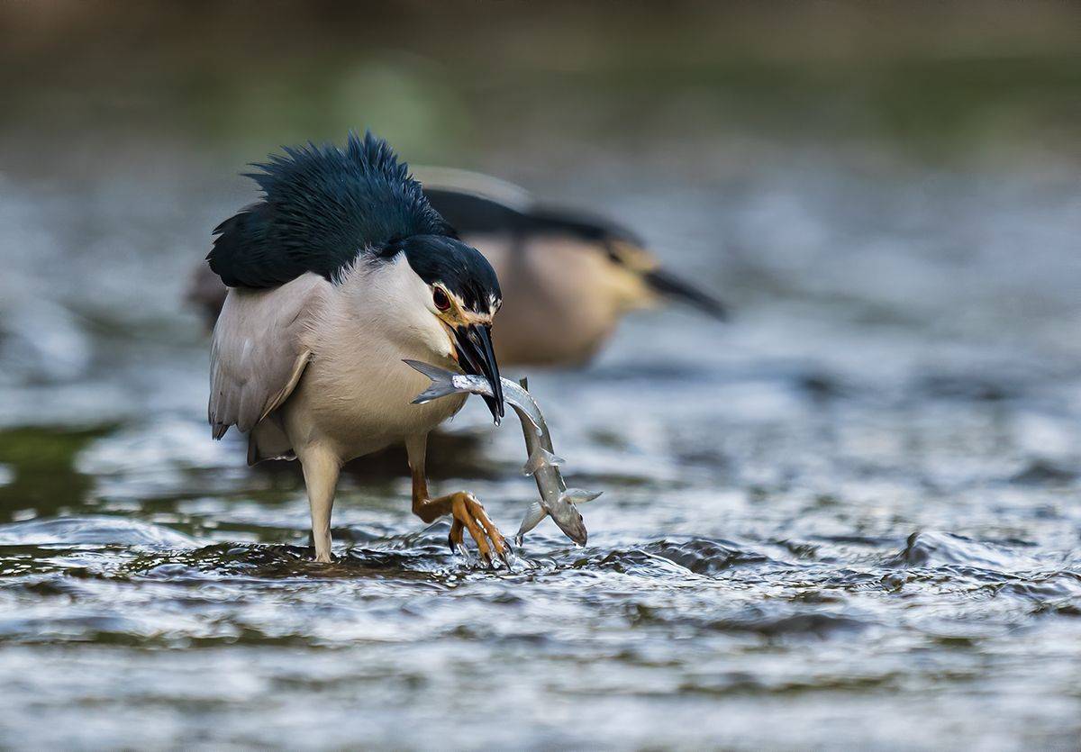 , Sławek Przybylski