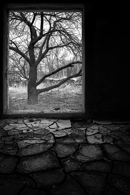 #ProWindows фото превью