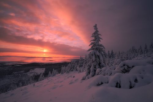 When Frst the Rays of Sunrise Pierces the Clouds....