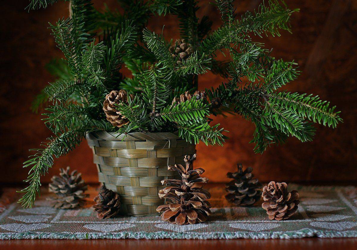 , Геннадий Петрущенко