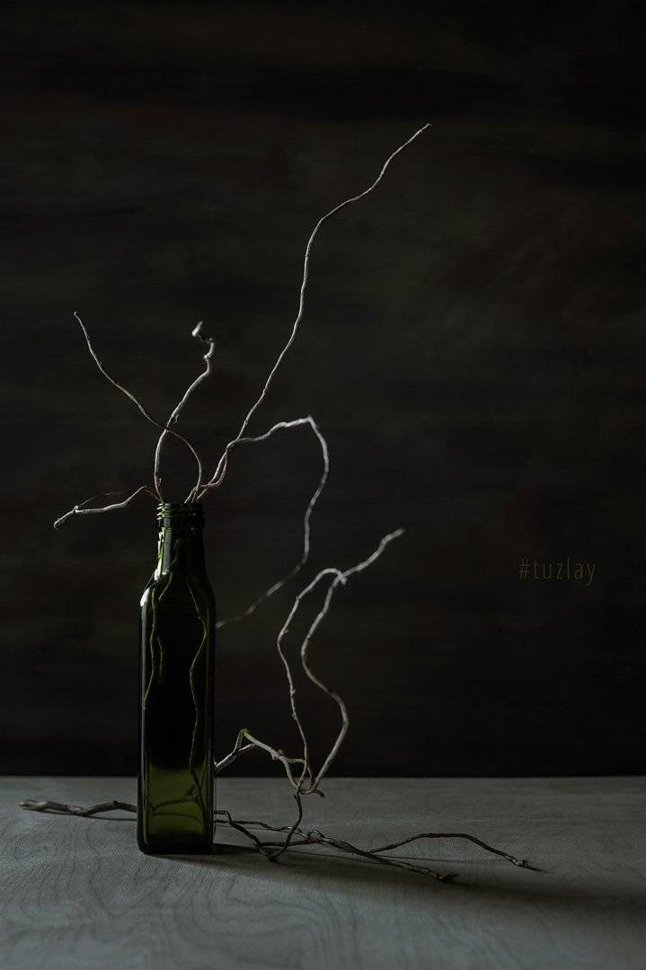 бутылка, веточки, Владимир Тузлай
