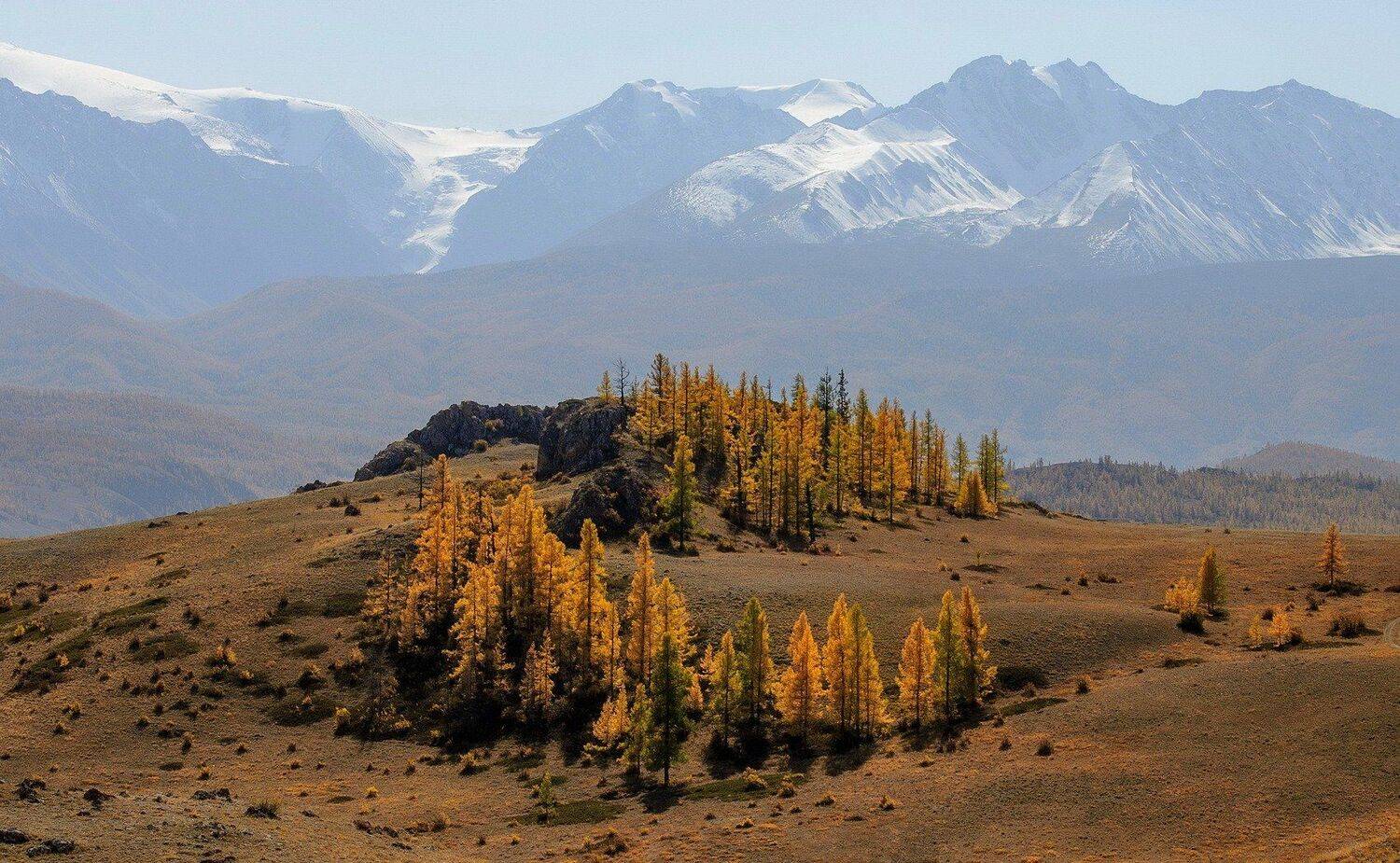 алтай, северо-чуйский хребет, вечер, осень., Марина Фомина