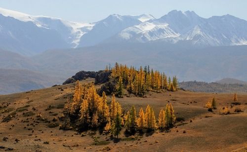 Осенний хоровод.