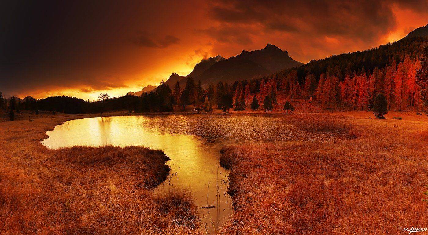 swiss, Матвеев Николай