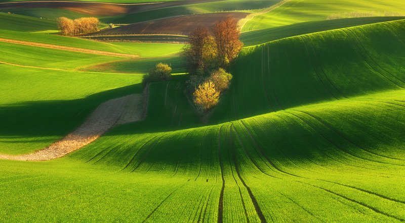 Breath of Spring... фото превью