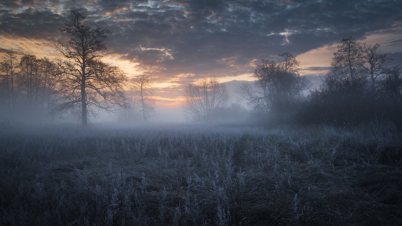 frosty morning фото превью