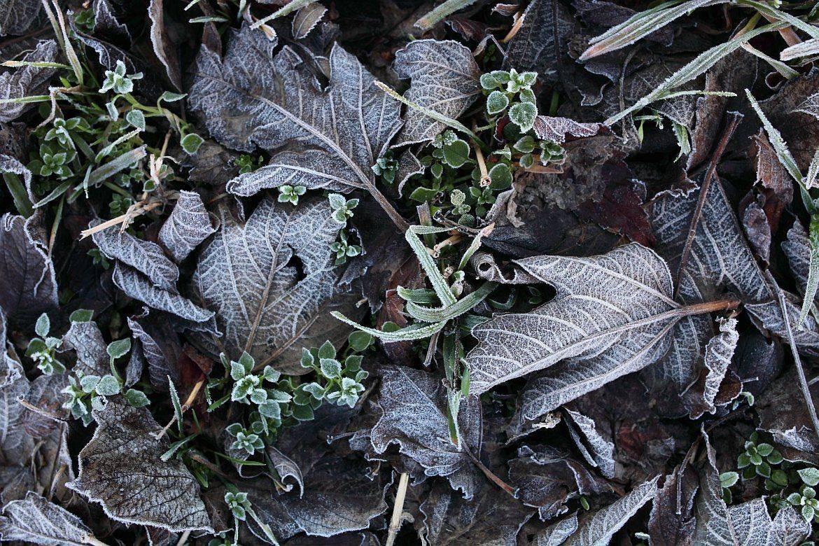 , Сергей Фудиненко