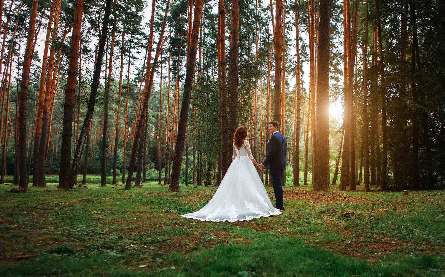 свадьба, wedding, невеста, жених, лес, Михаил Герасимов