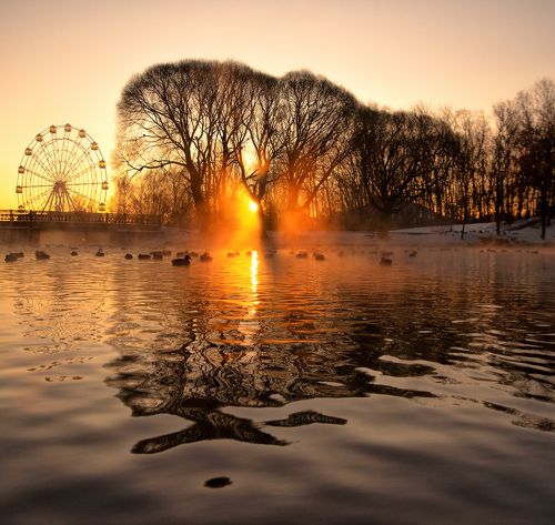 Золотой рассвет 