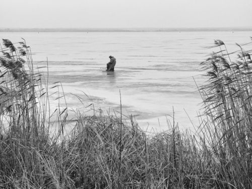 Long winter days awaiting