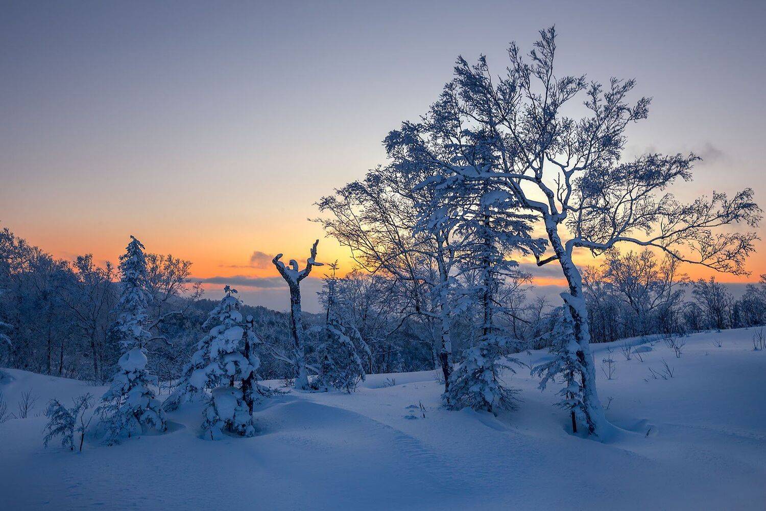 , Артем Удодов
