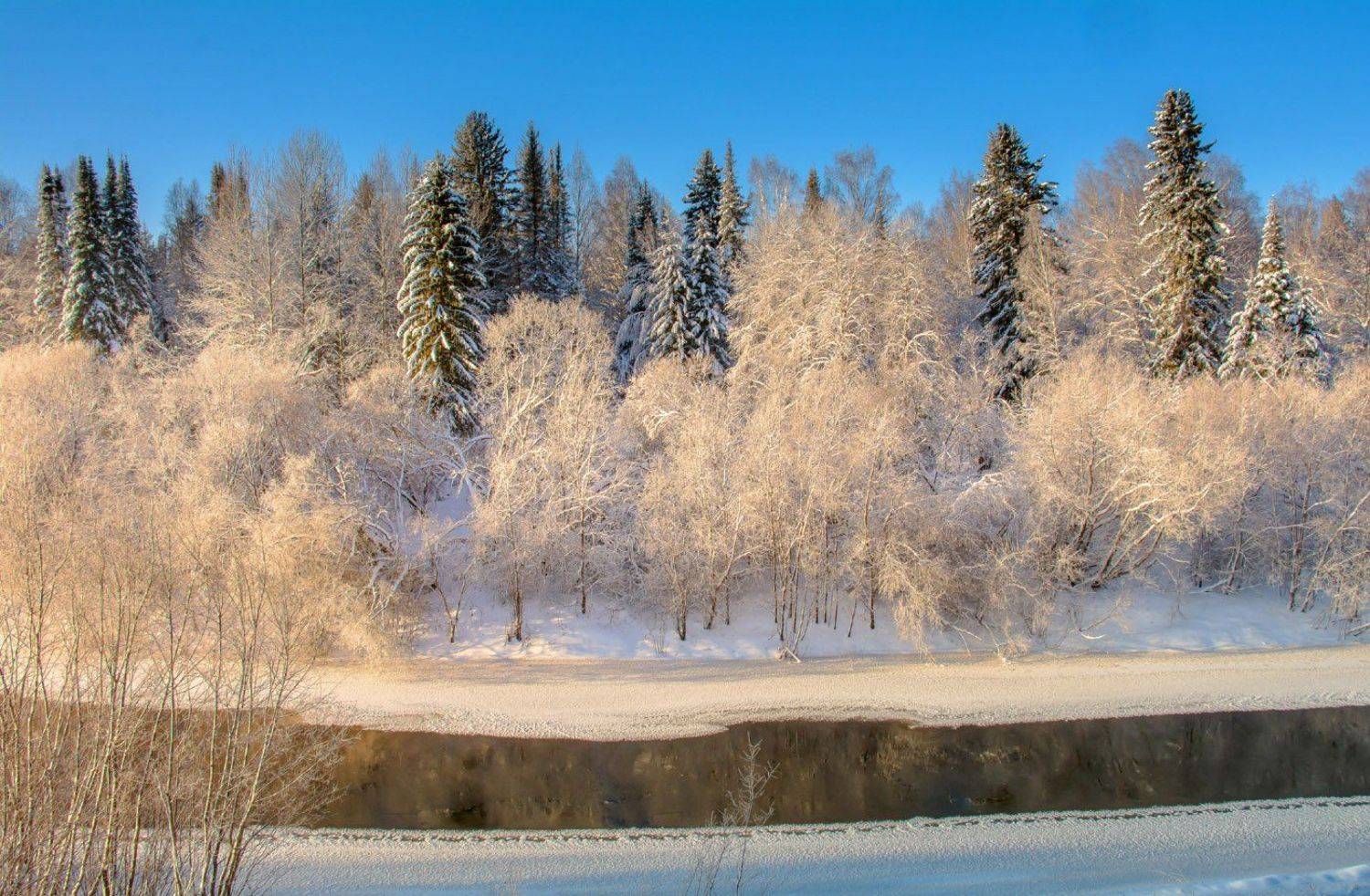 , Михаил Белоусов