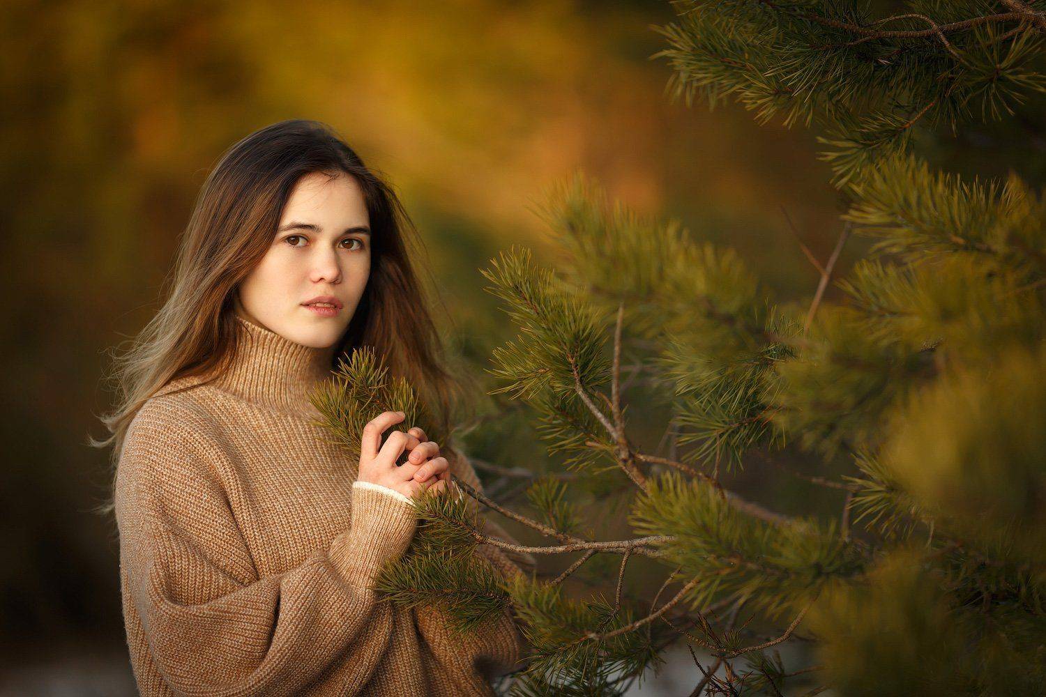 , Тимофей Шутов