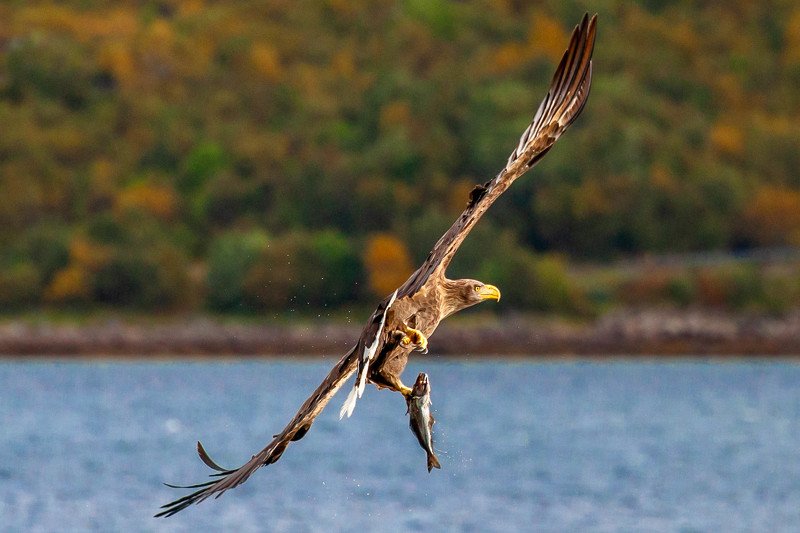 Weight taken фото превью