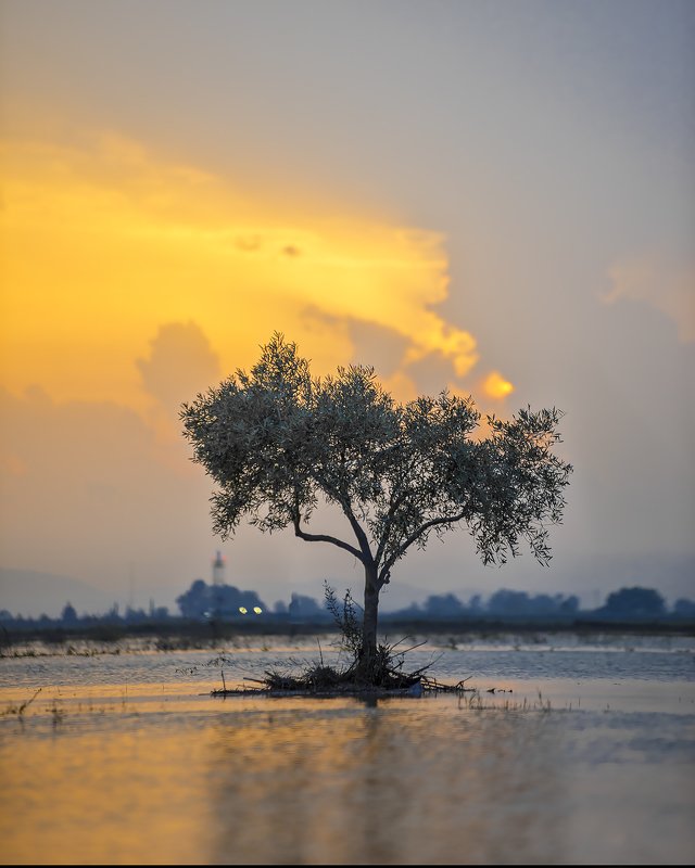 Сицилия Остров фиников фото превью