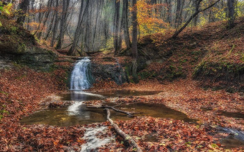 Осенний Фарс... фото превью