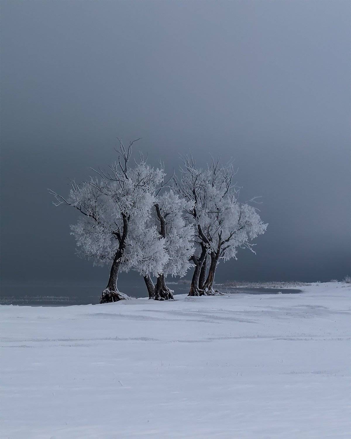 , Леонид Максименко