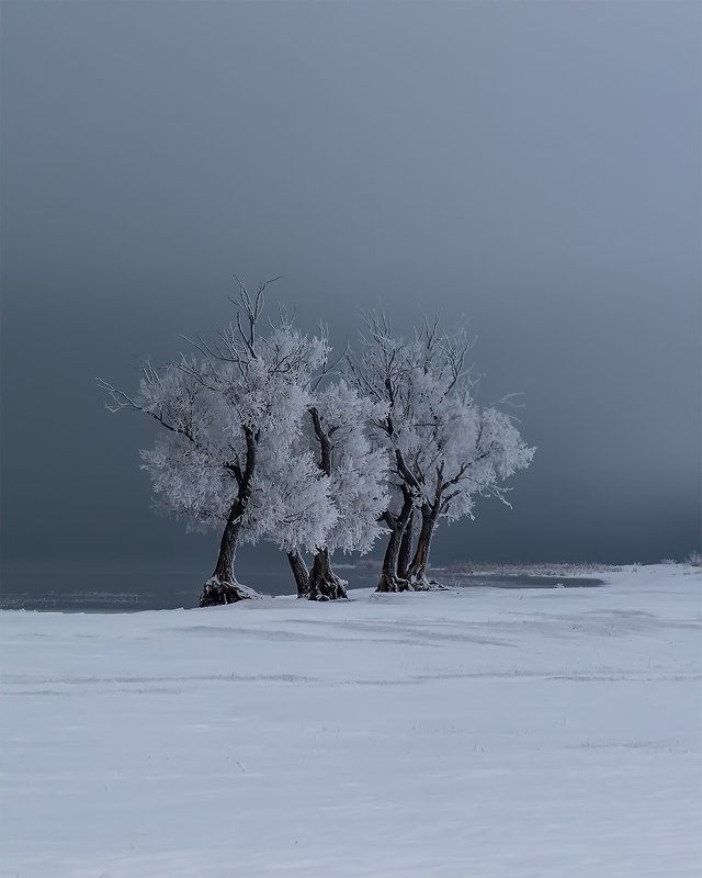 Иней фото превью
