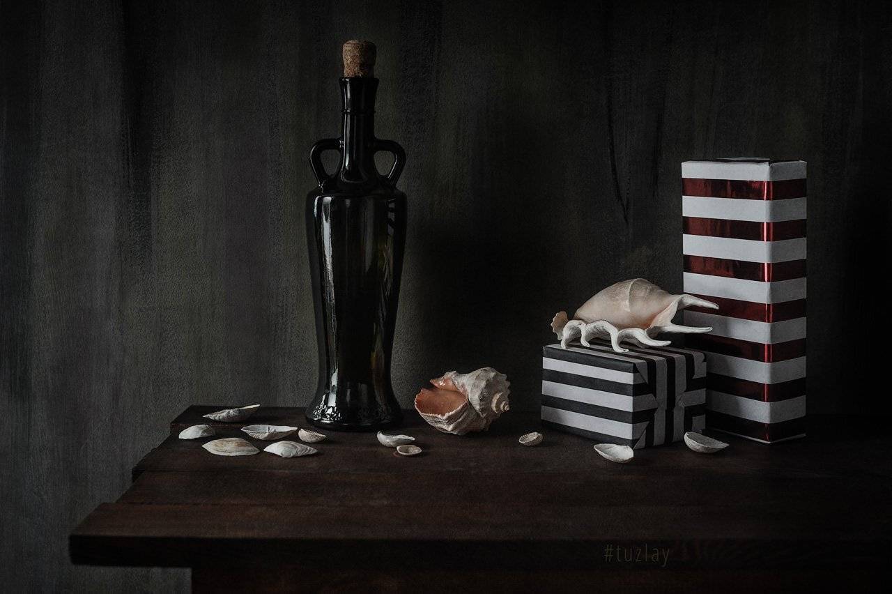 ракушки, бутылка, коробки, Владимир Тузлай