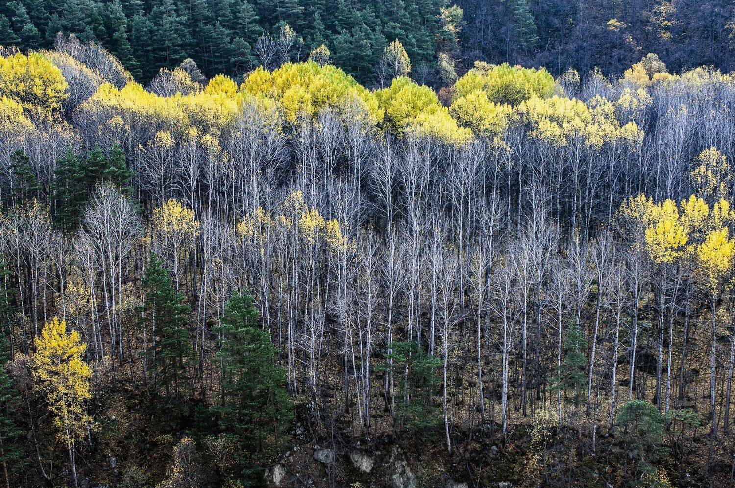 пейзаж, Михаил Пшеннов