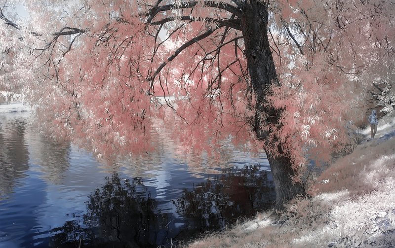 лето, река, девушка Нежность. фото превью