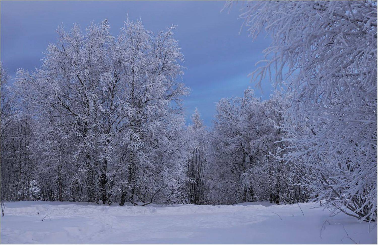 , Кондратьев Алексей