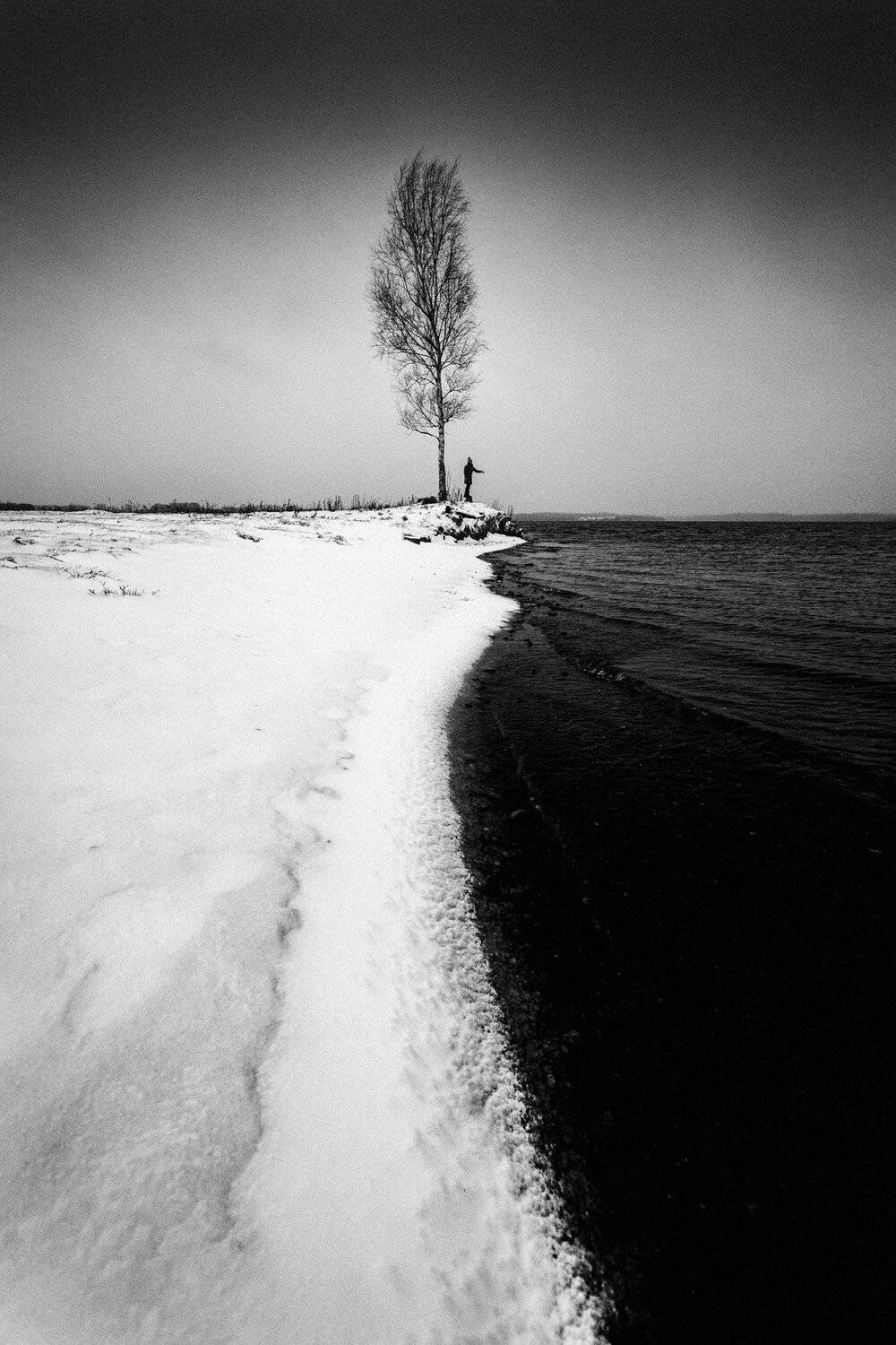 валдай, Тимофей Шутов