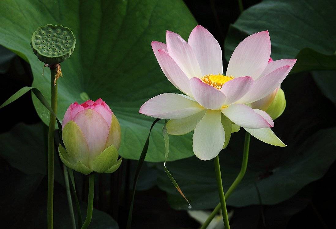 , Сергей Фудиненко